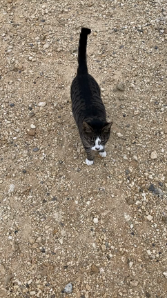 沖縄に行ってきましたの記事動画