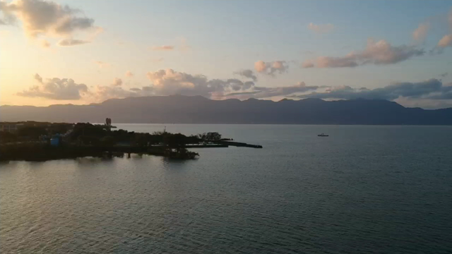 サラリーマン的なことしていましての記事動画