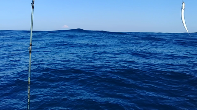 南房洲崎沖根魚五目２０２３～『あっちだったか・・・』完全な選択ミスに悶絶（泣）～の記事動画