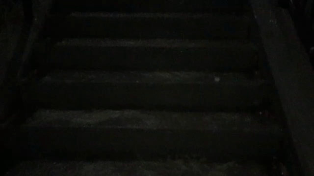 東京の記事動画