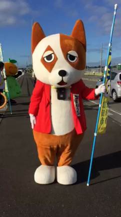 ３市合同交通安全運動の記事動画