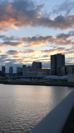 明けましておめでとうございますの記事動画