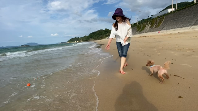 ポーちゃんと海の記事動画