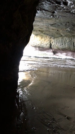 癒される。の記事動画