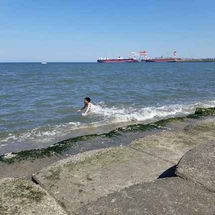 今年も懲りずにやらかしたの記事動画