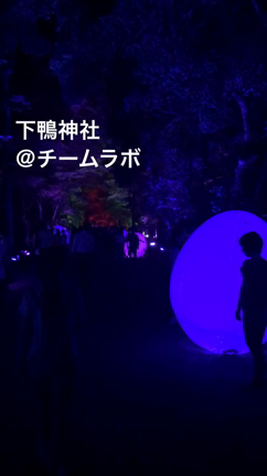 下鴨神社「糺すの森の光の祭」の記事動画