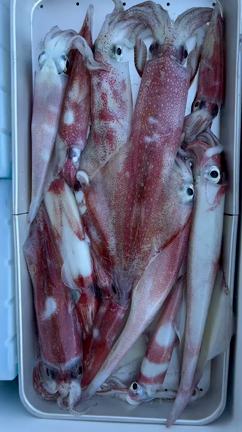 9月23日の記事動画