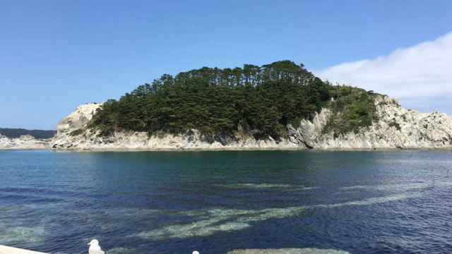 澄んだ青の記事動画