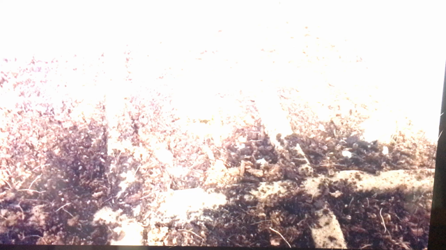 壊れちゃったの記事動画