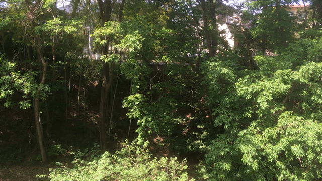 2020/05/05(火) 8＋3の記事動画