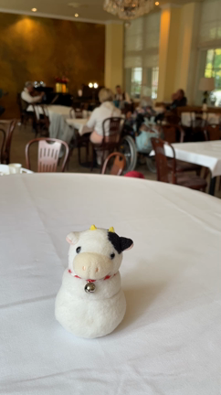 クアパーク続き牛(音が出ます)の記事動画