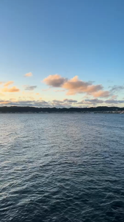 8月も終わりの記事動画