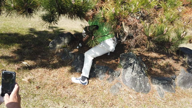 「ハピゴル」GOLF始めました。の記事動画