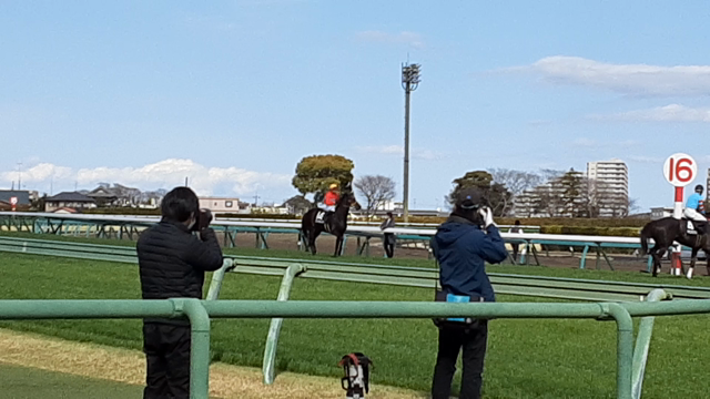 本日の愛馬と馬券の結果3/20の記事動画