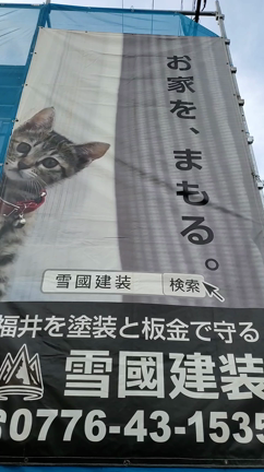 梅雨入り前　最後の塗装の記事動画