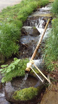 わたしらしくの記事動画