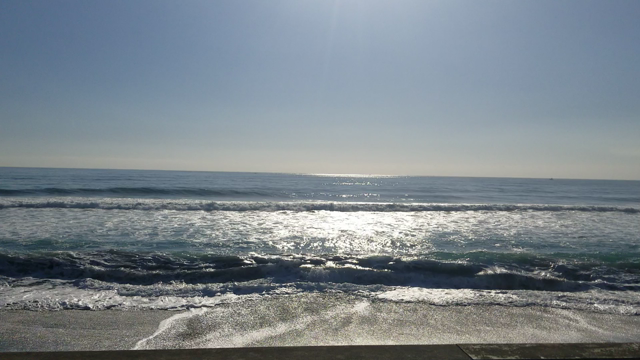 この時だからこその記事動画