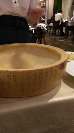 お出かけ前に…の記事動画