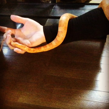 トトロはいるぞ。本当だ嘘じゃない。の記事動画