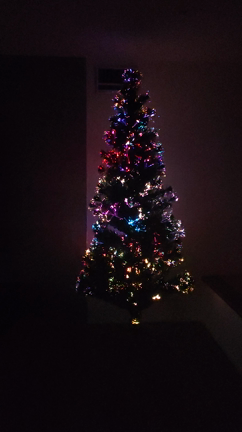 おかしな木の記事動画