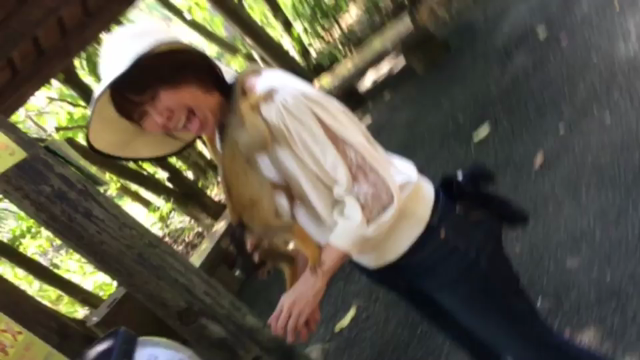 大人のふたり旅の記事動画