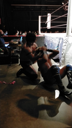 ストレス発散‼️プロレス観戦✨の記事動画