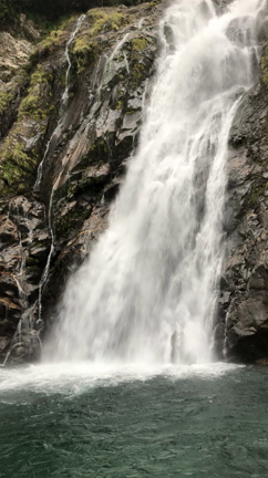 太古の森〜縄文杉を目指して〜①の記事動画