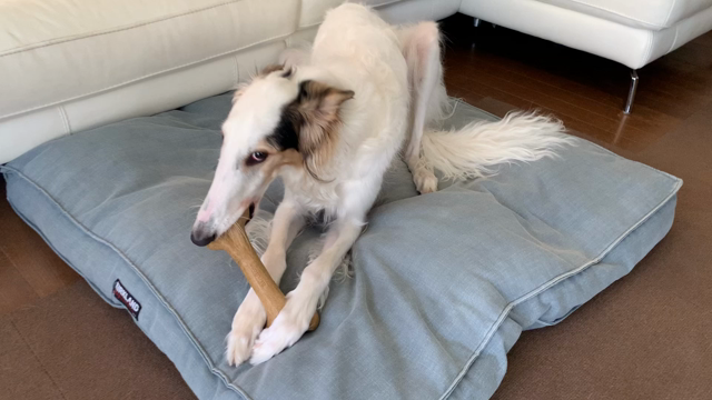 成長記録の記事動画