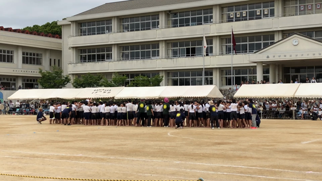 小学校 運動会の記事動画