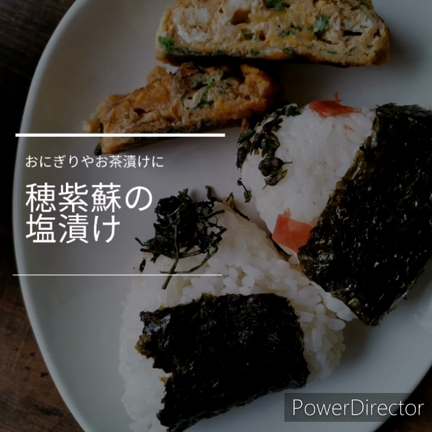 穂紫蘇の塩漬け 一人で有機農業始めたからさぁ大変 さおとめファームレシピ 日記