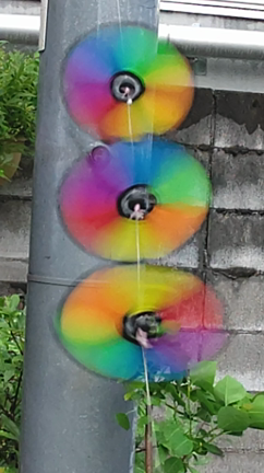 風♪の記事動画