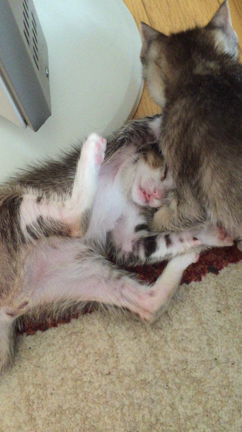 海と空の記事動画