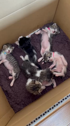 5/9(月)、10(火)の記事動画