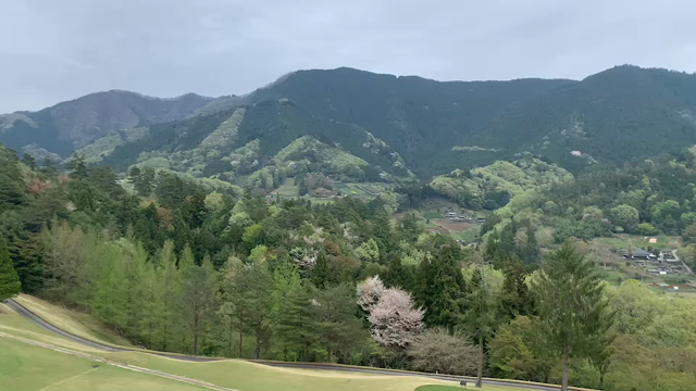 今期ベストスコア。の記事動画