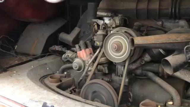 レイト第2弾！！の記事動画