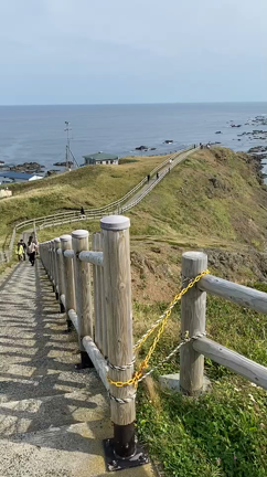 みーみーꉂꉂの日！の記事動画