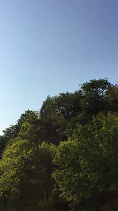 健康の秘訣①の記事動画