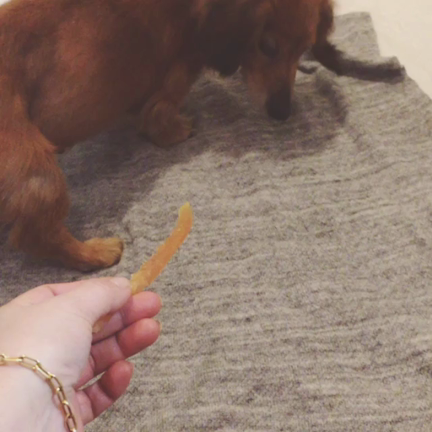 リアルなコーデが見たいのですの記事動画