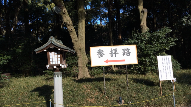 元日の明治神宮の記事動画