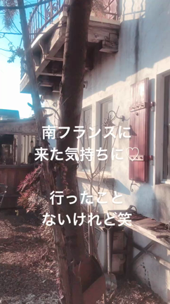 お気に入りの場所は元気の充電場所♪の記事動画