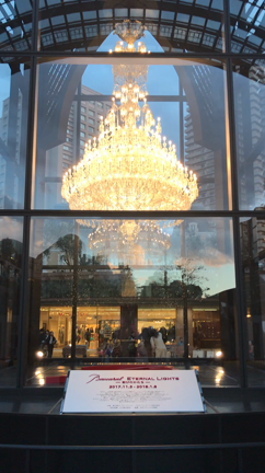 *今年も…バカラ✨*の記事動画