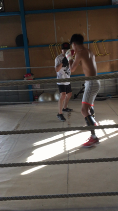 岸和田ボクシングジムアカデミーBBの記事動画