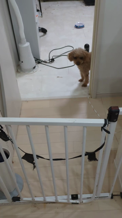 有楽町で会いましたよ！の記事動画