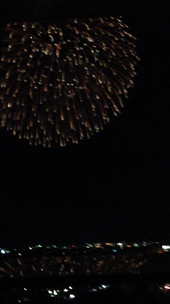 2015年8月16日放送内容　まだ間に合う！花火大会の記事動画