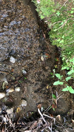 今日はレインボーブリッジの日 だそうですの記事動画