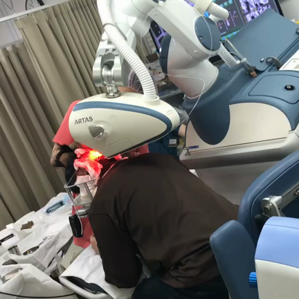 ★本日の1枚(植毛編)の記事動画