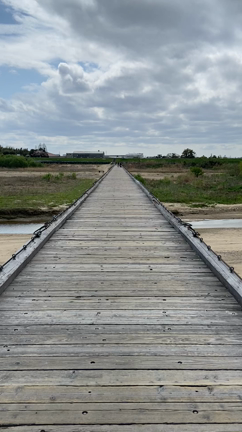 パンマラニック。の記事動画