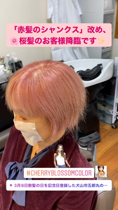 Cherry-blossom color styleもう春はすぐ...の記事動画