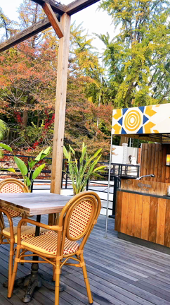 ソウル 梨泰院 勇気を出して行ってみた‼️の記事動画