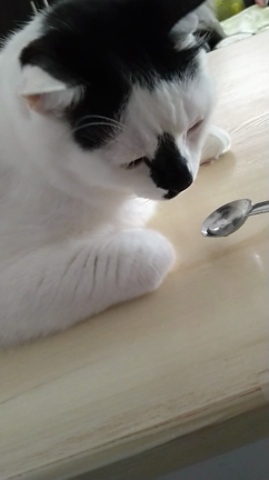 ”水分摂取アレコレ”の記事動画